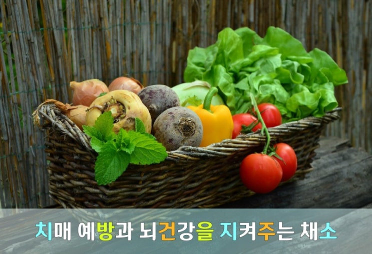치매 예방과 뇌건강을 지켜주는 채소 10가지 치매 예방과 뇌건강을 지켜주는 채소 10가지