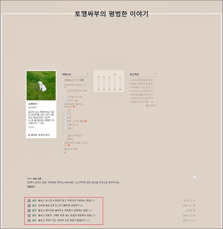  블로그에 공지사항, 인기글과 대표글 설정하는 방법