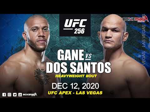UFC 256 주니어 도스 산토스 VS 시릴 간 등 MMA 뉴스 UFC 256 주니어 도스 산토스 VS 시릴 간 등 MMA 뉴스