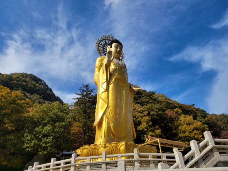  가을 단풍 명소 속리산 법주사