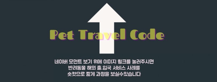  강아지 한국입국 고양이한국귀국 반려동물해외운송 검역시설 항체검사