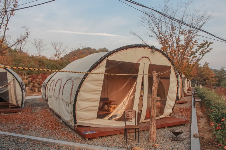  경남/합천 코지캠핑장 합천 글램핑,캠핑은 여기서!!