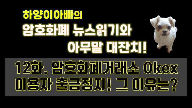  [아무말대잔치] 12화. 암호화폐거래소 Okex 이용자 출금정지! 그 이유는?(Feat.하양이아빠)
