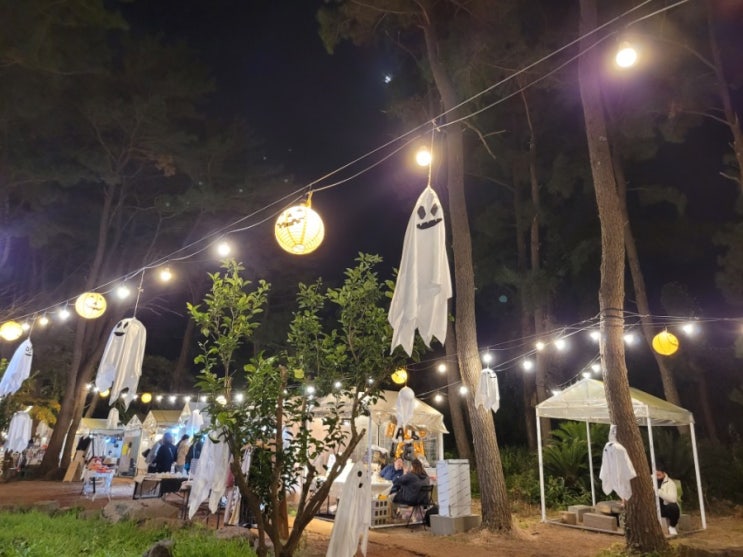  제주 수목원길 야시장 할로윈 장식과 먹거리 (ft수목원테마파크led조명)