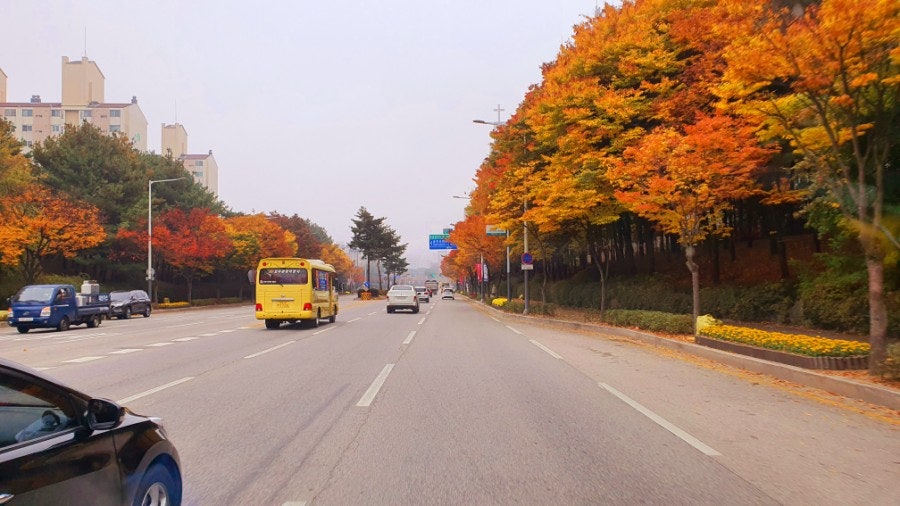 소리피아노학원 사진 1