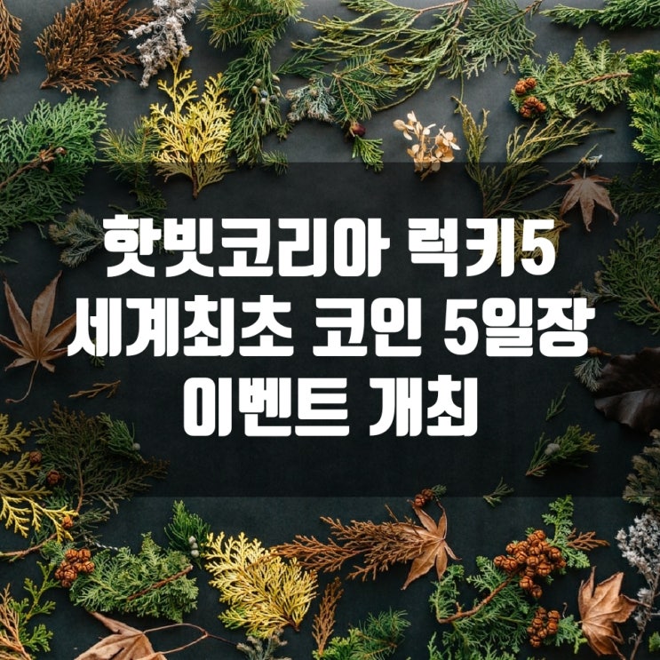  핫빗코리아 럭키5 세계 최초 코인 5일장 이벤트 개최