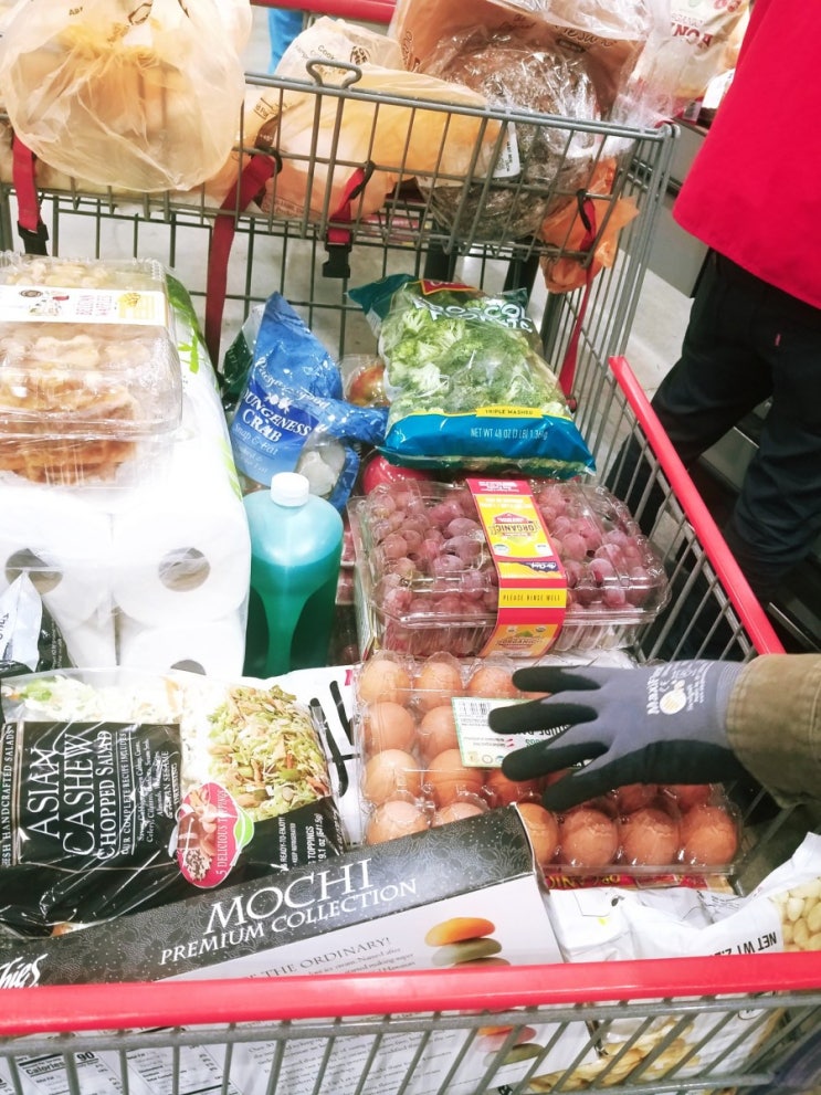  미국 코스트코 맛있다고 소문난 거 위주로 왕창 장보기!
