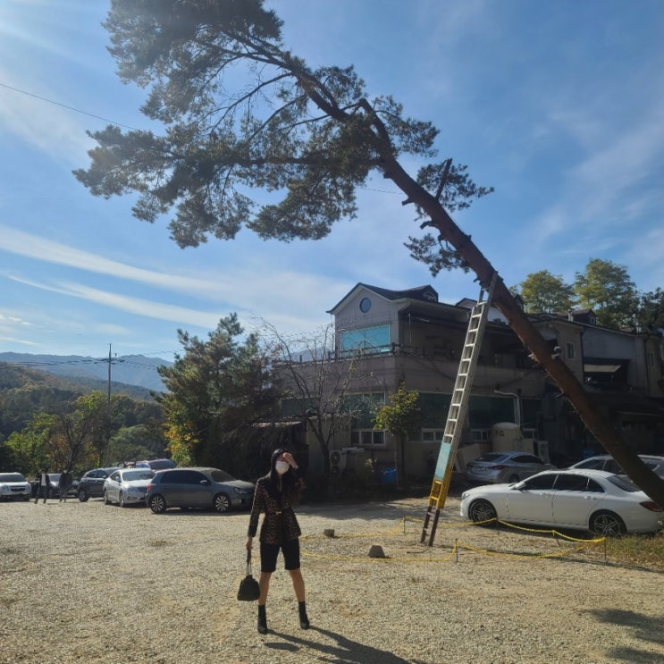  스트레스 받을때, 매운맛이 생각나면 한소반쭈꾸미 강추!