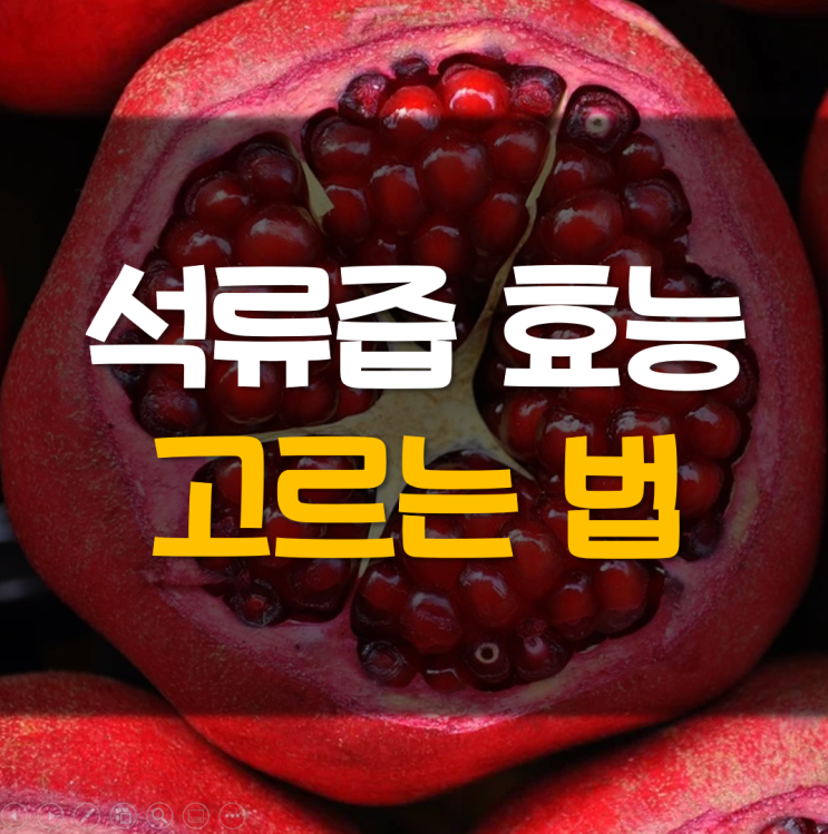 석류즙 효능