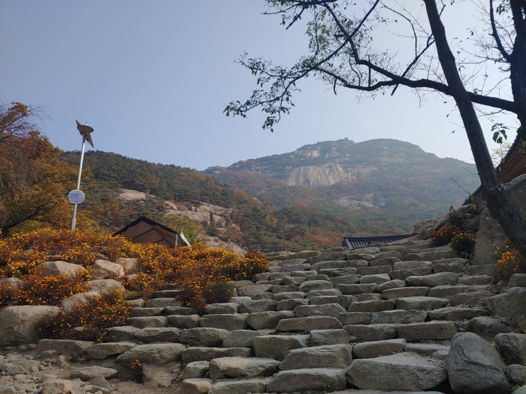 (북한산 등산 코스) 도심속의 큰 숲 '북한산' 절경/추천코스