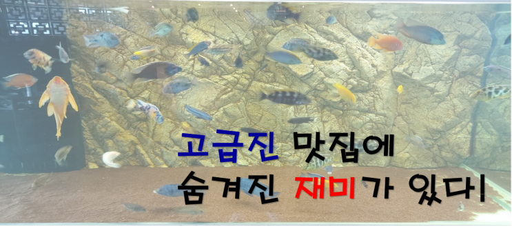  부모님 모시고 오기 좋은 경북도청 근처 맛집! 김창권설렁탕 2호점