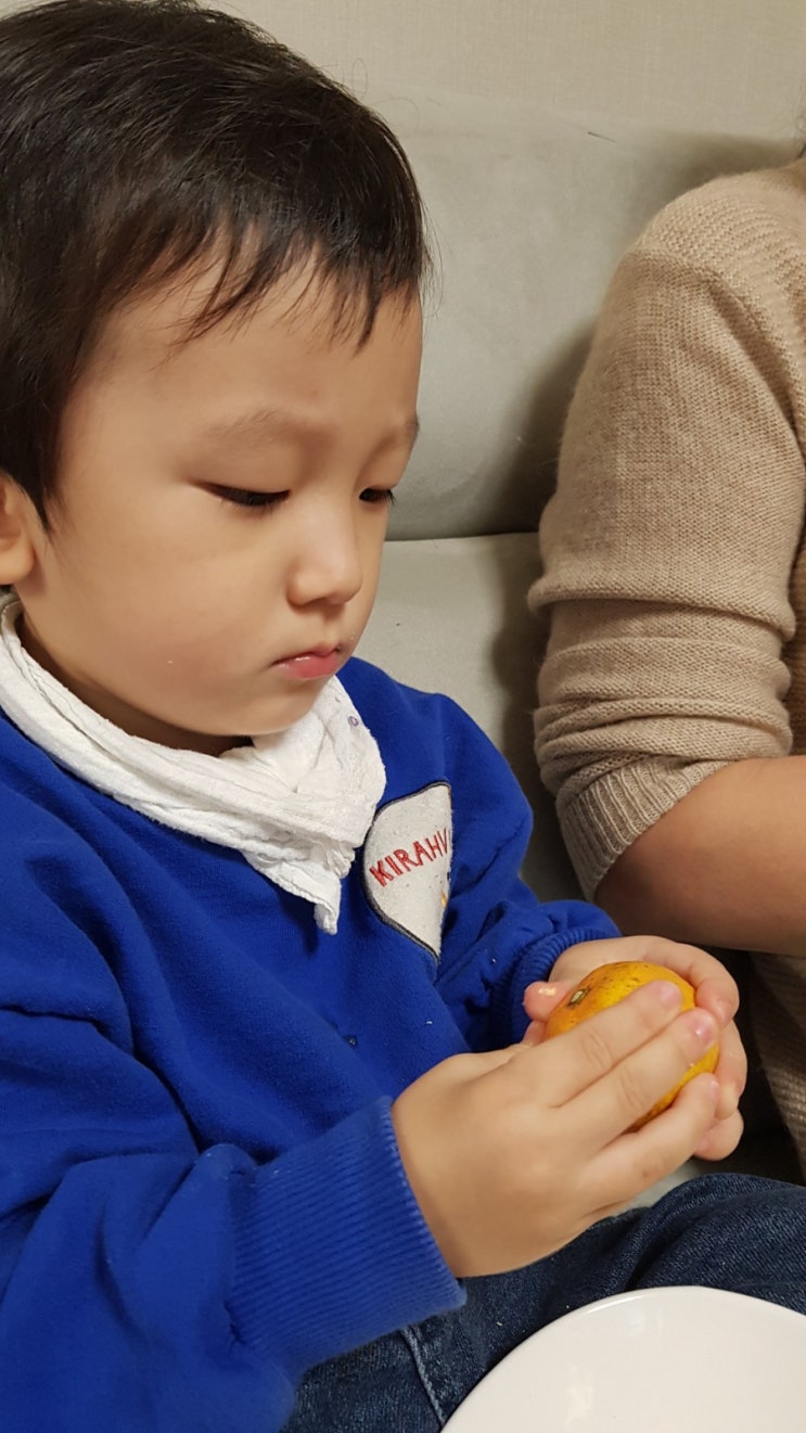  귤만지는 해준이 ㅎ