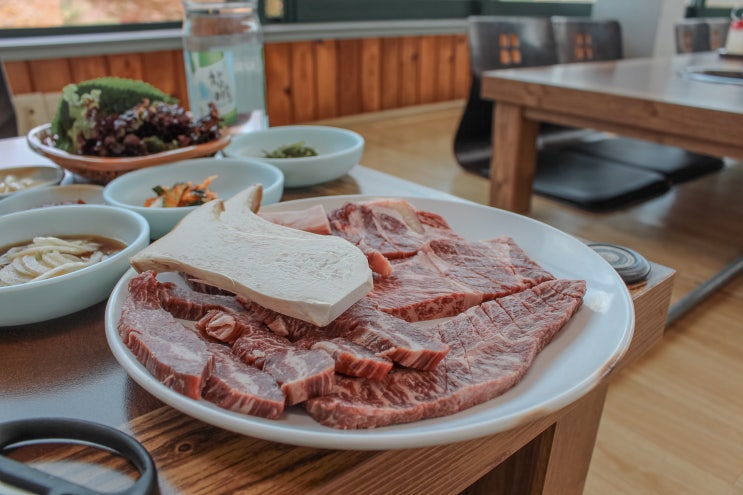  경남/합천 합천호 맛집 동일식육식당 된장찌개 필수!!