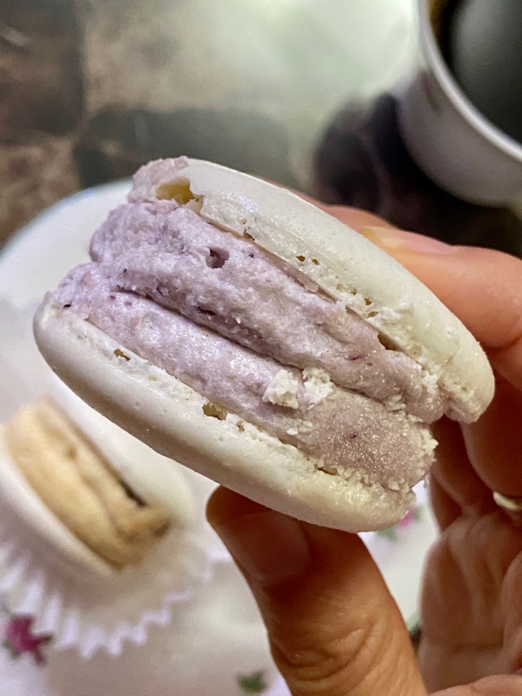  널담은마카롱이 만든 비건 마카롱, 비건 디저트를 제대로 맛본 기회