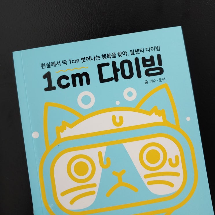  책 1cm 다이빙, 첫 번째 질문