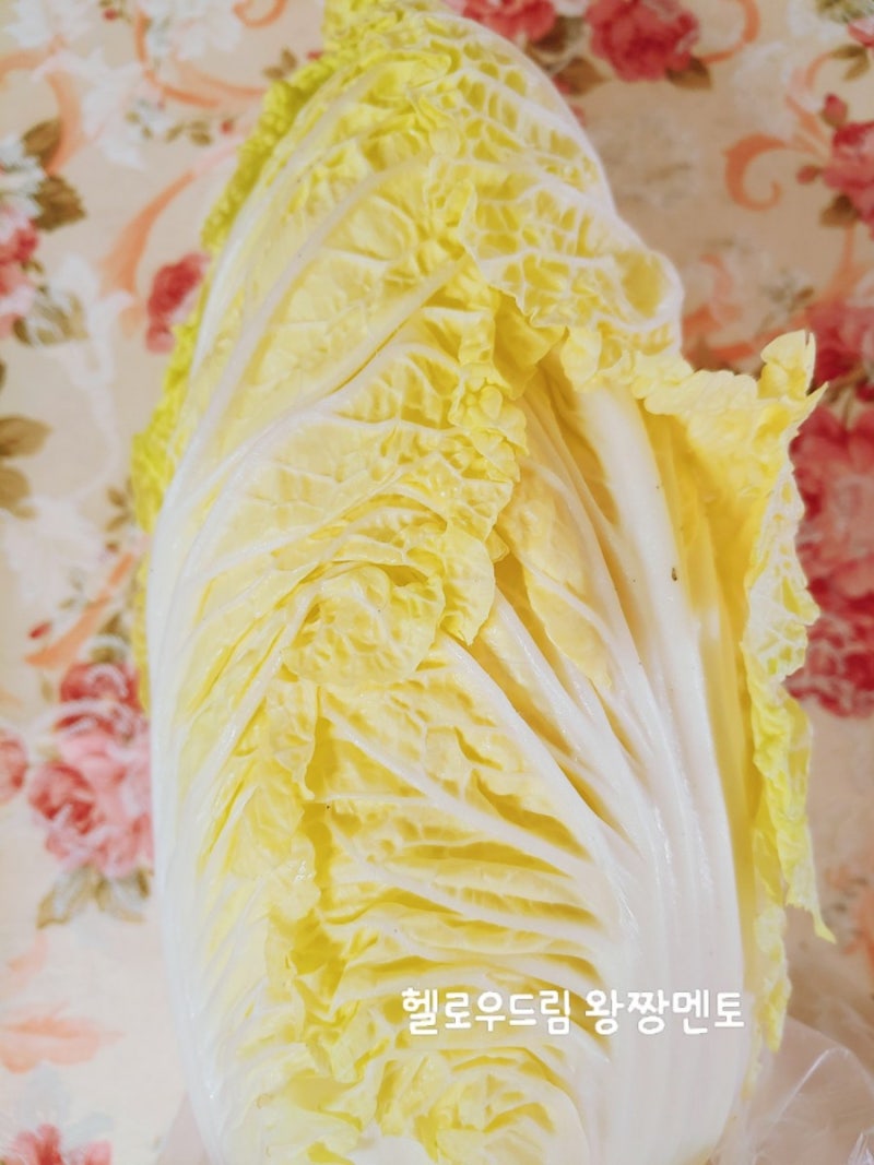 배추꿈 배추 사는꿈 뽑는꿈 절이는꿈 배추꿈해몽