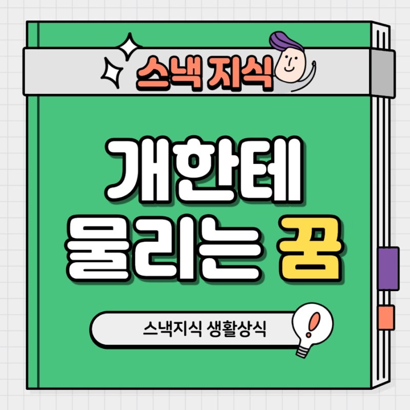 개한테 물리는 꿈, 반려견한테 물리는 꿈 해몽 알려드려요!