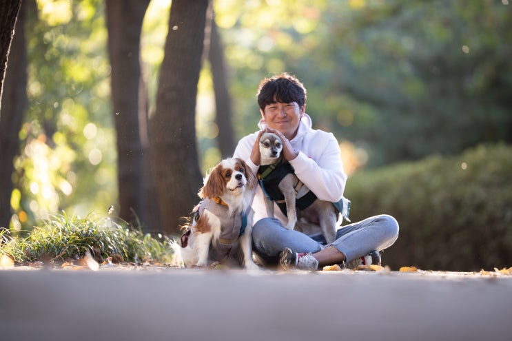  강아지 야외 촬영 3만원으로 인생사진 겟