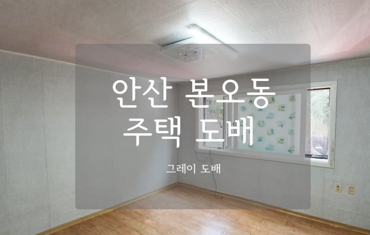  안산 본오동 도배장판 #이사 당일 견적 보는 이유