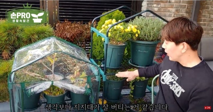  코아하우징 겨울 다육이 화초 키우기 용 소형 중형 미니 온실 후기
