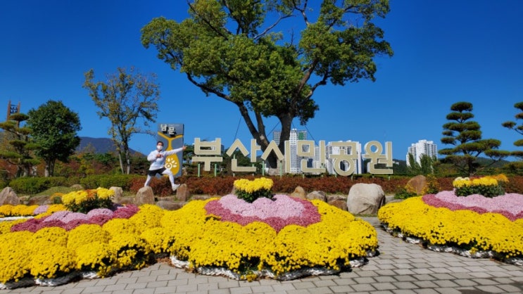  세이브더칠드런 런택트 마라톤대회 시민공원에서 뛰다
