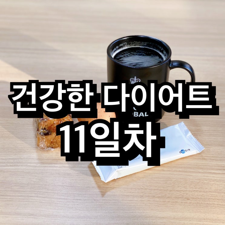 다이어트 11일차 살빼기 아님 - 건강하기