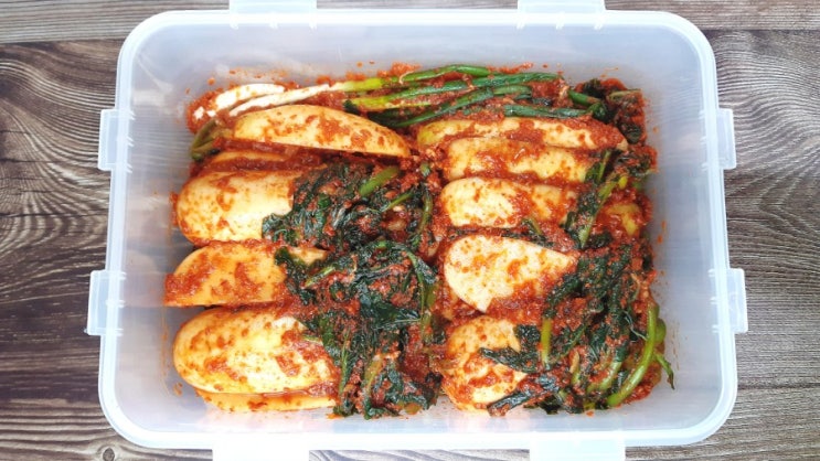 알타리김치담그는법 김수미 총각김치 담그는방법 알타리무 절이기 초롱무김치 알타리김치담그는법 김수미 총각김치 담그는방법 알타리무 절이기 초롱무김치