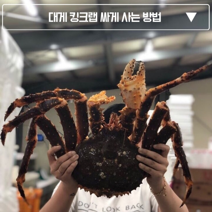  대게 킹크랩 하루 만에 싸게 사는 먹는 손질 방 법 (feat. 왕대게 수산)