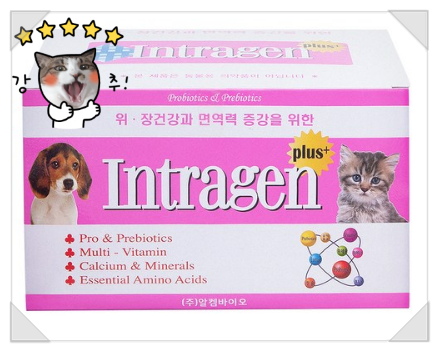  멍냥이들 무른변 설사엔 인트라젠 플러스 !