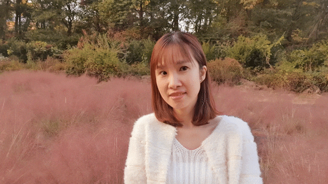 의왕 왕송호수 핑크뮬리 카페로터스 주차장 의왕 왕송호수 핑크뮬리 카페로터스 주차장