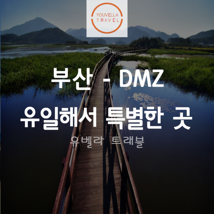[부산출발] 철원 DMZ 1박2일 패키지 출발확정 11월11일 18일 에어부산