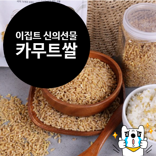  카무트쌀 효능 괜찮네요 살도안찐다니