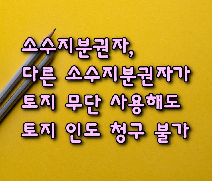  소수지분권자(지분경매) 다른 소수지분권자가 토지 무단 사용해도 토지 인도 청구 불가