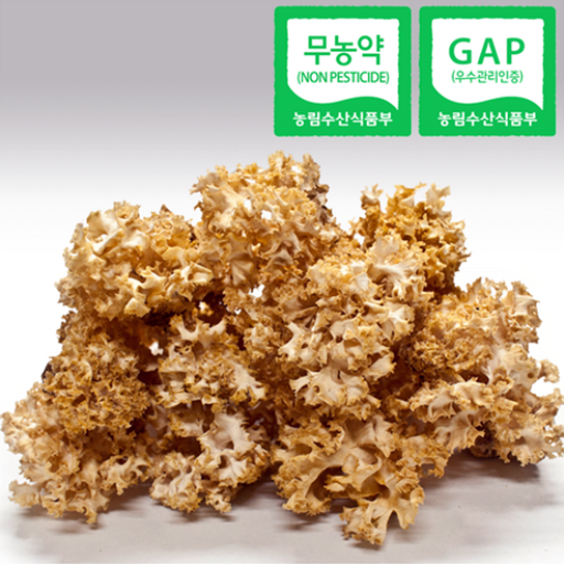  백아산/건꽃송이버섯 효능·먹는법