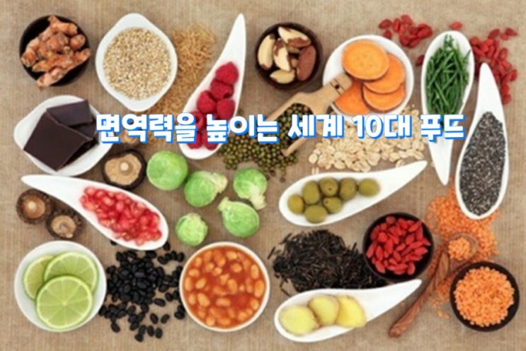  면역력을 높이는 세계 10대 푸드