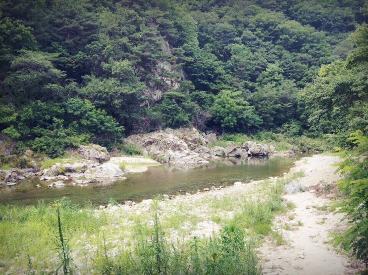  솔로캠핑, 최애 캠핑장에서의 2박, 강원도 인제 반려견전용 반디하우스 오토캠핑장 후기