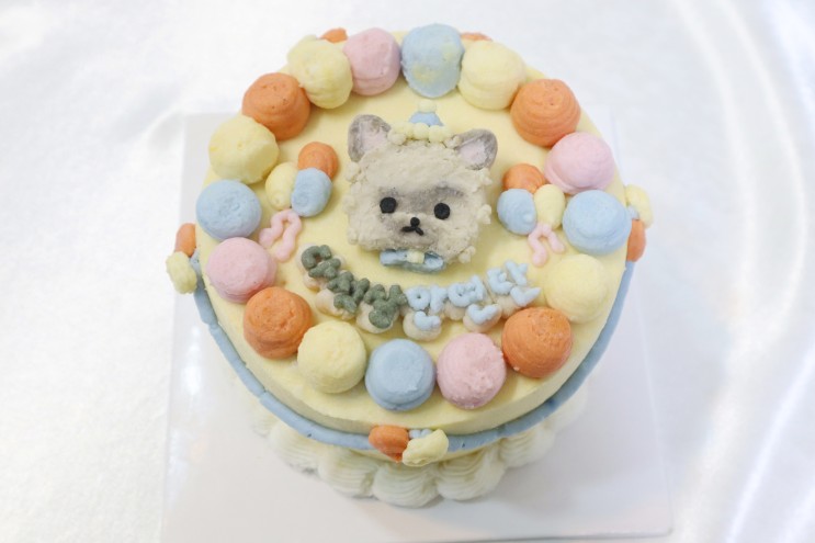 강아지 생일 케이크는 송도 '쁘띠시앙'