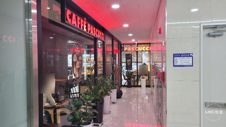 파스쿠찌 신흥역점 다녀왔습니다 여기 에그타르트 맛집이네 내돈내산 리뷰