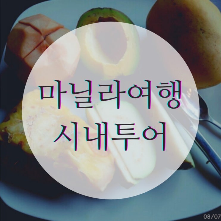 마닐라그랩택시 교통수단, 시내투어