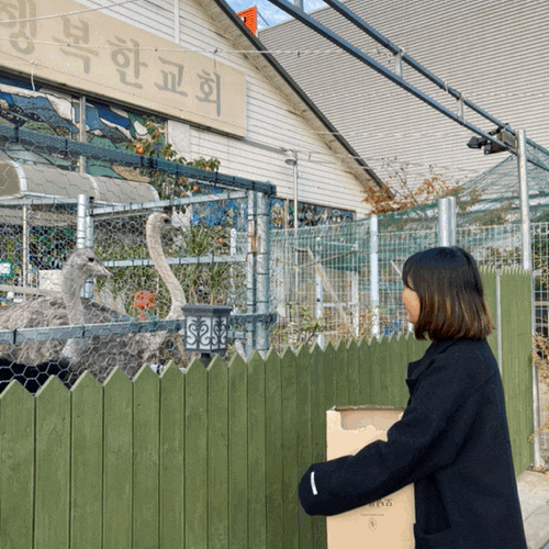  셀픽스에서 사진찍고/노브랜드갔다가 타조보고??/마지막 숯불 쭈꾸우미~~!!
