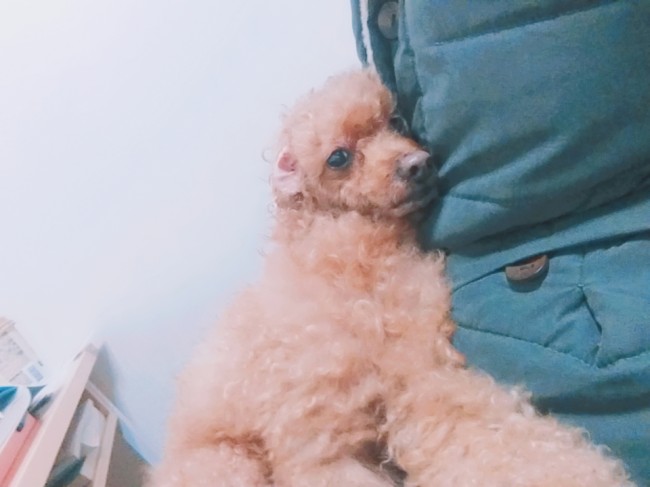  20201029 온기