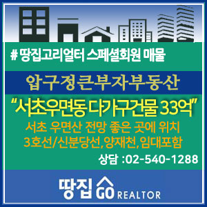   우면산 배경의 양지바르고 전망 좋은 곳에 위치한 다가구주택 매매 [ 압구정큰부자부동산] ~ 땅집고리얼터 스페셜회원매물(20.10.29~)