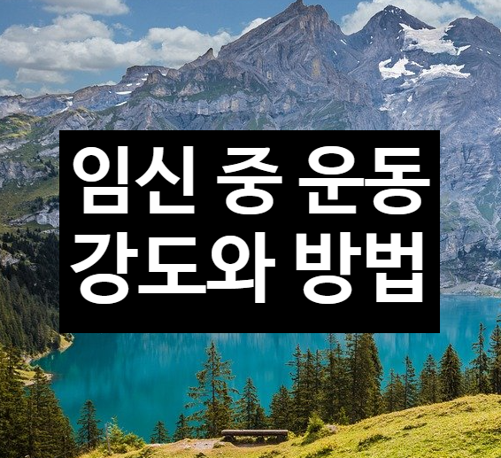  임신 중 운동하기