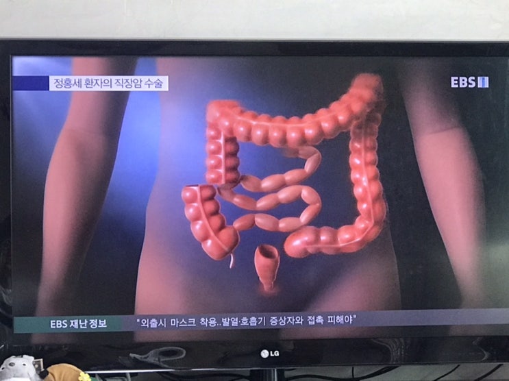 둘째아들내미의 새로운 꿈 둘째아들내미의 새로운 꿈