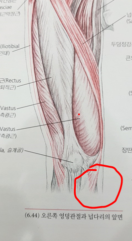  가좌동 한의원 무릎치료 4번째