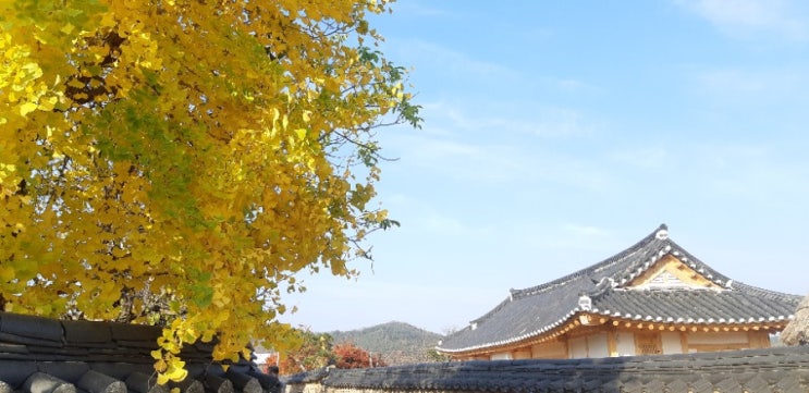  하회마을의 가을풍경