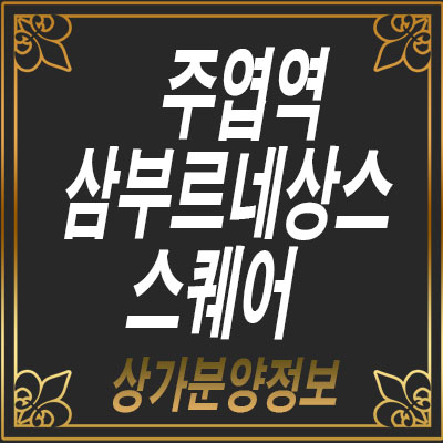 주엽역 삼부르네상스 상가 분양가 정보알아보자 주엽역 삼부르네상스 상가 분양가 정보알아보자