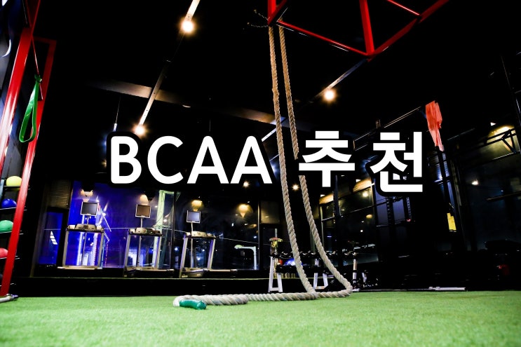  뉴트리코스트 BCAA (+ 쉐이커 보틀) 마시는 이유 :)