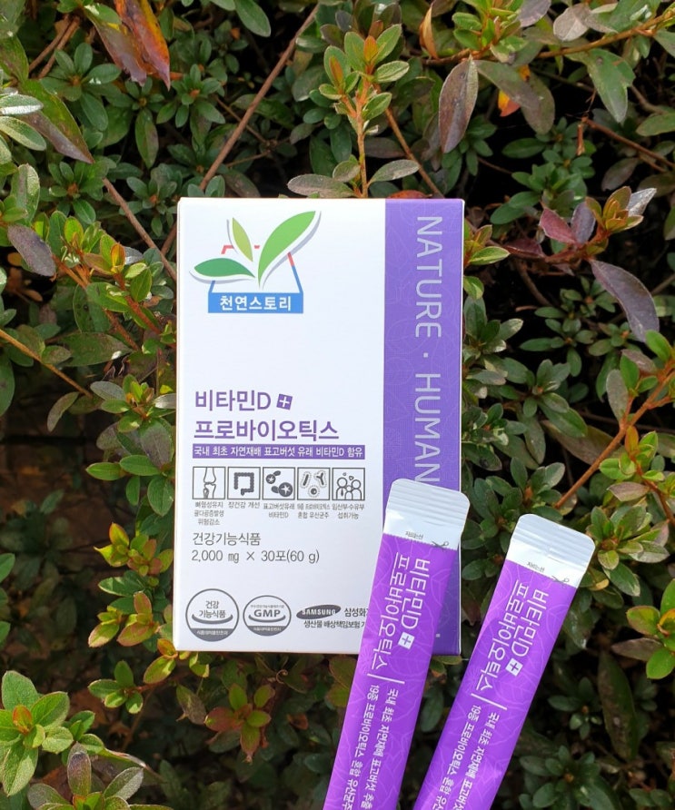  표고비타민D, 천연비타민D 국내최초 유기농 제품이라니