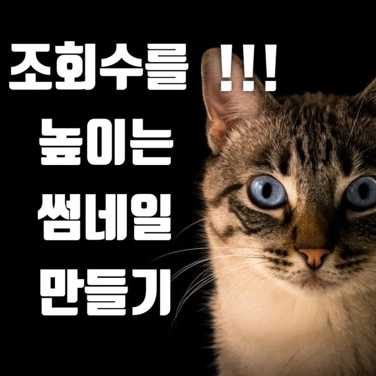 블로그 조회수 높이는1분컷 썸네일 만들기 블로그 조회수 높이는1분컷 썸네일 만들기